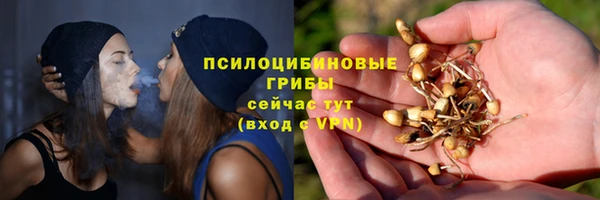 ECSTASY Михайлов
