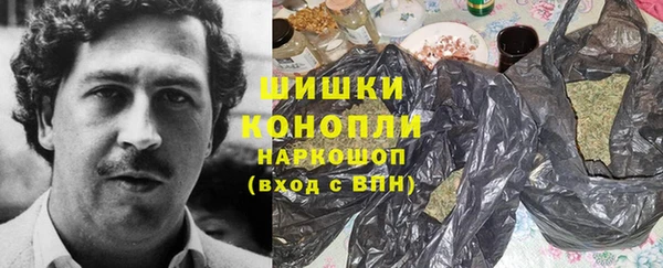 стаф Надым