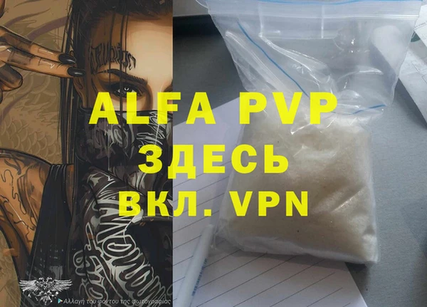 стаф Надым